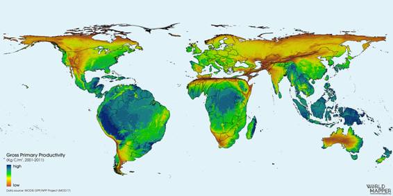 Mapa

Descrição gerada automaticamente com confiança média