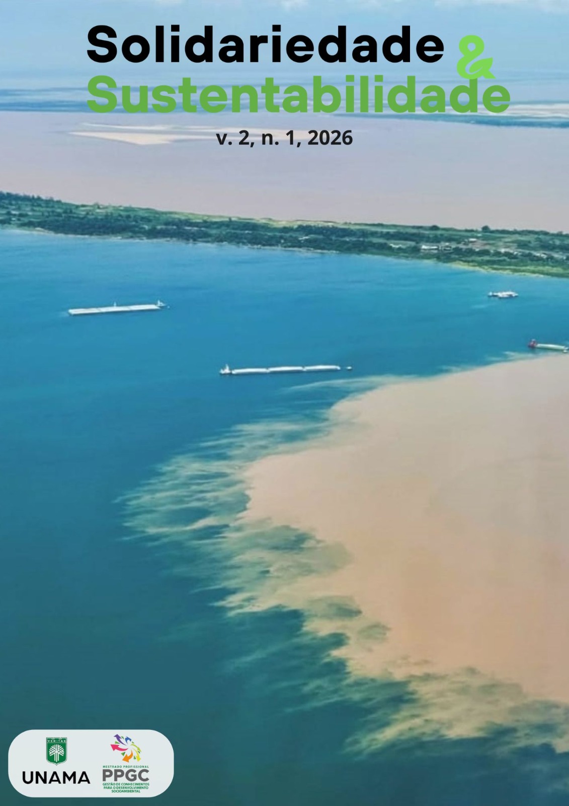 					Visualizar v. 2 n. 1 (2026)
				